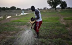 Tchad : un salon de l'agriculture à N'Djamena en mars