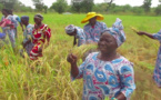 Tchad : les femmes au premier rang du développement du monde rural