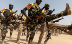 Tchad : création d'un régiment de protection de la réserve stratégique