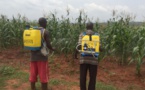 Tchad : tirons le meilleur du salon de l'agriculture SAFAGRI