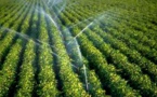 Le Tchad s'engage à créer des solutions d'irrigation performantes