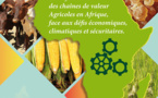 Un salon africain de l'agriculture au Tchad pour stimuler les politiques nationales