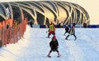 Beijing 2022 unveils plan for after-games utilization of sports venues 