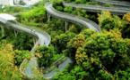 China’s first ecological civilization pilot zone moves towards green growth