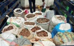 Cameroun : Quatre criminels fauniques arrêtés à Douala