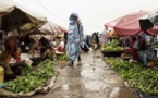 Tchad : "les produits expirés sont toxiques"