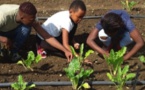Kotula distribue plus de 350 000 repas par an aux personnes les plus défavorisées de Soweto