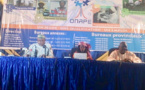 Tchad : lancement de la formation de 600 jeunes à N'Djamena