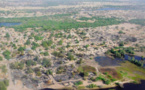 Chad: 6 dead including a TV cameraman in an explosion in Ngouboua