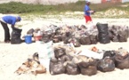 Préservation de l'environnement : Congo Terminal dit non aux plastiques