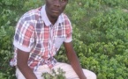 Tchad : un jeune meurt brûlé vif à N'Djamena, trois arrestations