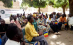Tchad : au Sud, agriculteurs et éleveurs sensibilisés à la cohabitation pacifique