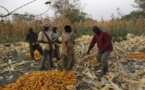 Kigali : Le Ministre togolais Koutéra Bataka participe au forum sur la sécurité alimentaire en Afrique
