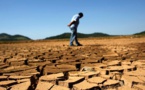 Governments must unite behind the science to transform land use to avert climate breakdown