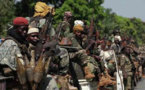 Centrafrique : lourdes peines de prison pour d'ex-rebelles