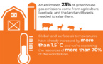 To Tackle Climate Change We Need to Rethink Our Food System