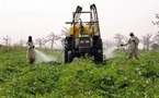 Le Tchad organise un grand forum sur le développement du monde rural