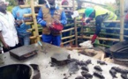 Cameroun/Gestion des déchets : Lancement des ateliers de formation