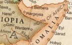 L'intérêt du Golfe pour la Corne de l'Afrique : influence et liens économiques