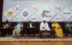 Tchad : les femmes entrepreneures "désorientées" par les obstacles