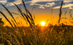 Generation Africa: Young entrepreneurs from Botswana and Ghana win GoGettaz Agripreneur Prize 2019