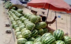 Tchad : la pastèque envahit la province du Ouaddaï, au détriment du mil