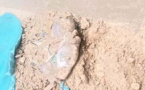 Tchad : elle accouche et enterre son nouveau-né dans sa chambre