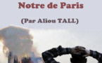 Attentat contre une mosquée en France : Le terrorisme islamophobe est en marche !