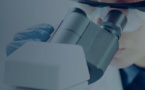 OB-002 Significantly Reduces Bone Metastasis in a Murine Model of Breast Cancer