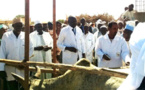 Tchad : vaccination contre la péripneumonie bovine et la peste de petits ruminants à Am-Timan