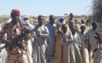 Tchad : lancement de la vaccination du cheptel à l'Est
