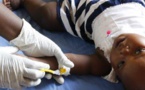 Le paludisme : une maladie de plus en plus emblématique de la pauvreté et des inégalités, selon un rapport