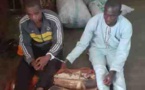 Cameroun/Batouri : Des trafiquants d'ivoire  risquent la prison