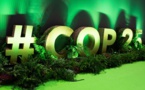 COP25: Civil society reactions
