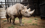 African Parks’ Most Hopeful Conservation News in 2019