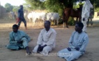 Tchad : 3 malfrats spécialisés dans le vol de bétail arrêtés à Am-Timan