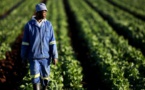 Togo : vers la formation de 1000 entrepreneurs agricoles dans les 117 communes