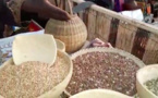 Festival Dary : à la découverte de la province du Salamat
