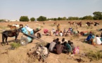Tchad : environ 5000 déplacés à l'Est suite aux conflits au Darfour