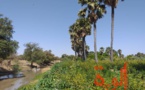 Tchad : A Kerfi, un paysage fascinant