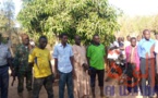 Tchad : 4 malfrats appréhendés à Pala, 5 motos récupérées