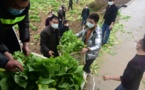 US seeks selfish gains as China goes all out to curtail coronavirus spread