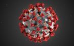 Coronavirus n’est rien d’autre qu’un…Ebola, la comparaison clinique du Dr Amadou Alima Guèye