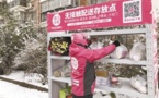 Chinese online grocery platforms in huge demand after coronavirus outbreak