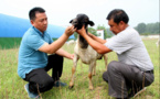 University professor dedicates to tech-led poverty alleviation in rural China