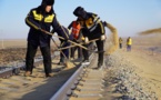 Inner Mongolia launches tree-planting campaign to tame desertification