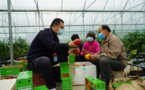 China’s central SOEs to offer 3.2 billion yuan for poverty alleviation