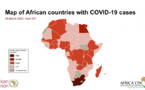 Afrique - COVID-19 : 3,924 cas, 117 morts
