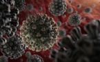 Coronavirus : deux autres tchadiens décèdent en France