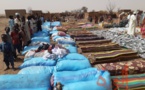 Tchad : une mobilisation exceptionnelle à l'Est après un grave incendie dans des villages
